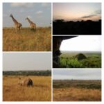 Tina Desai Instagram - #Nairobinationalpark, #Kenya