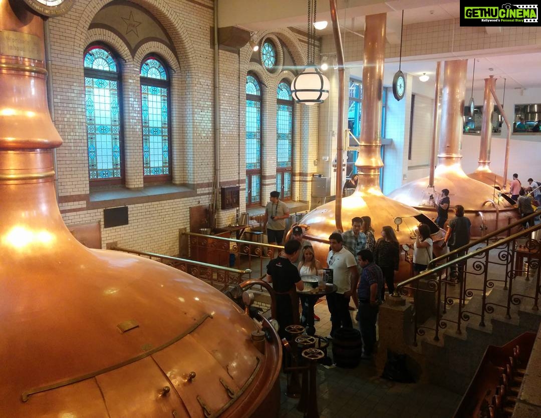 Tina Desai Instagram - #heinekenexperience #amsterdam