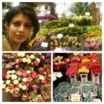 Tina Desai Instagram - #Flowermarket, #Amsterdam