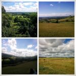 Tina Desai Instagram - The #gorgeous #sunny #English #countryside today! A #beautiful #day well spent. :)