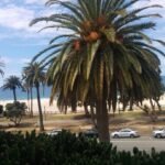 Tina Desai Instagram - #roomwithaview #losangeles I'm used to this now. Won't settle for anything less. 😂