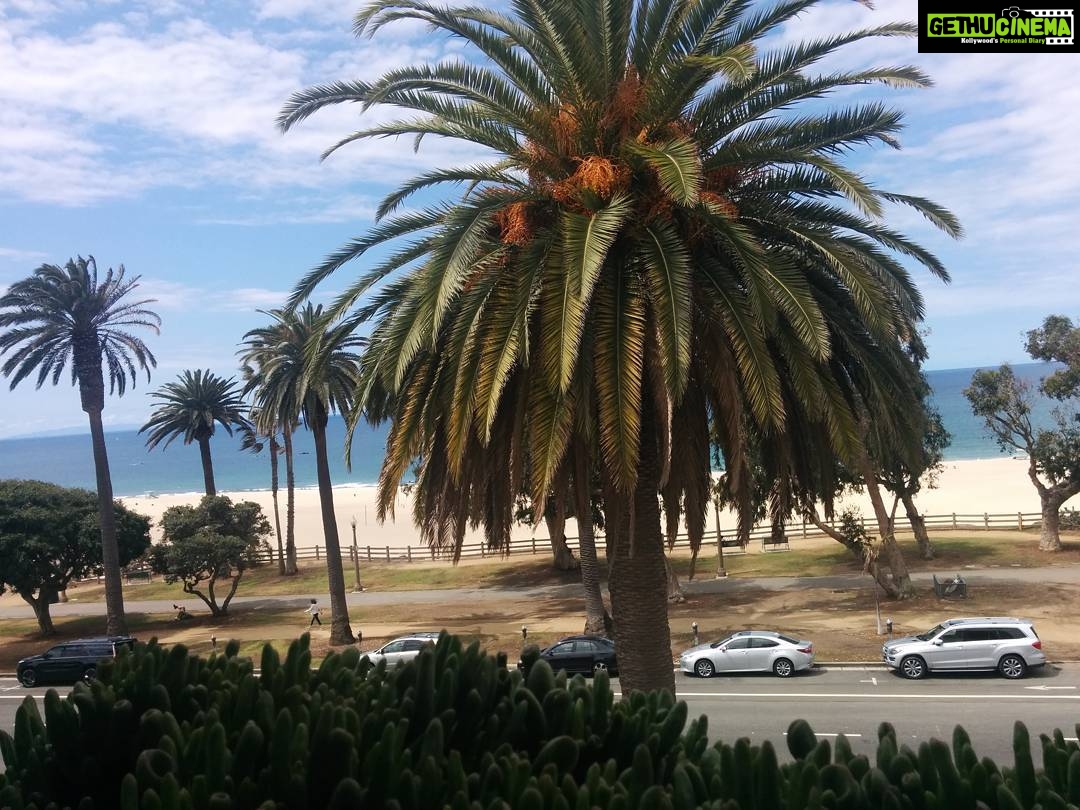Tina Desai Instagram - #roomwithaview #losangeles I'm used to this now. Won't settle for anything less. 😂
