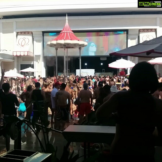 Tina Desai Instagram - Now playing: #Skrillex at #encorebeachclub #lasvegas