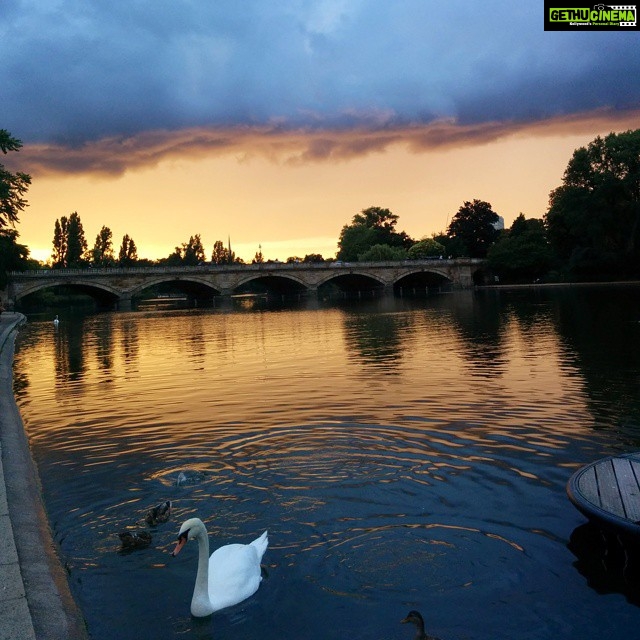 Tina Desai Instagram - London Hyde park at sunset #nofilter