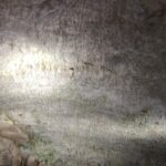 Tina Desai Instagram - The utterly marvelous Postojna caves in pictures #slovenia🇸🇮