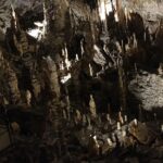 Tina Desai Instagram – The utterly marvelous Postojna caves in pictures
#slovenia🇸🇮