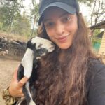 Tripti Dimri Instagram - I goat ya! 🌸😉