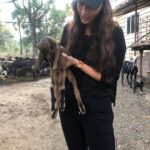 Tripti Dimri Instagram - I goat ya! 🌸😉