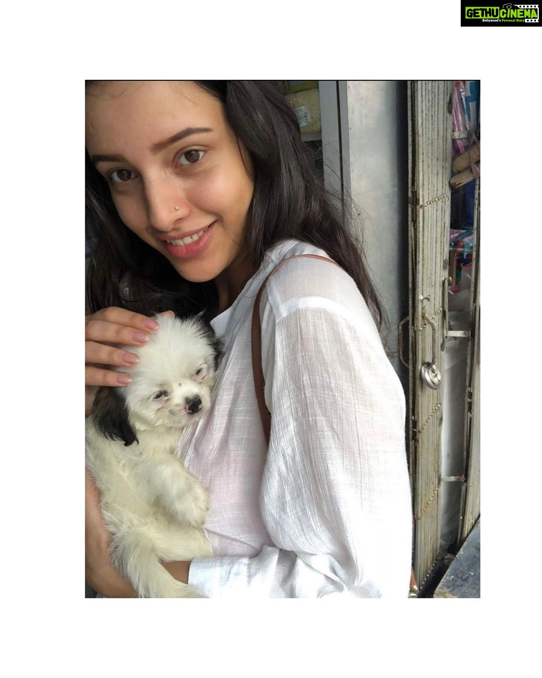 Tripti Dimri - 58.8K Likes - Most Liked Instagram Photos