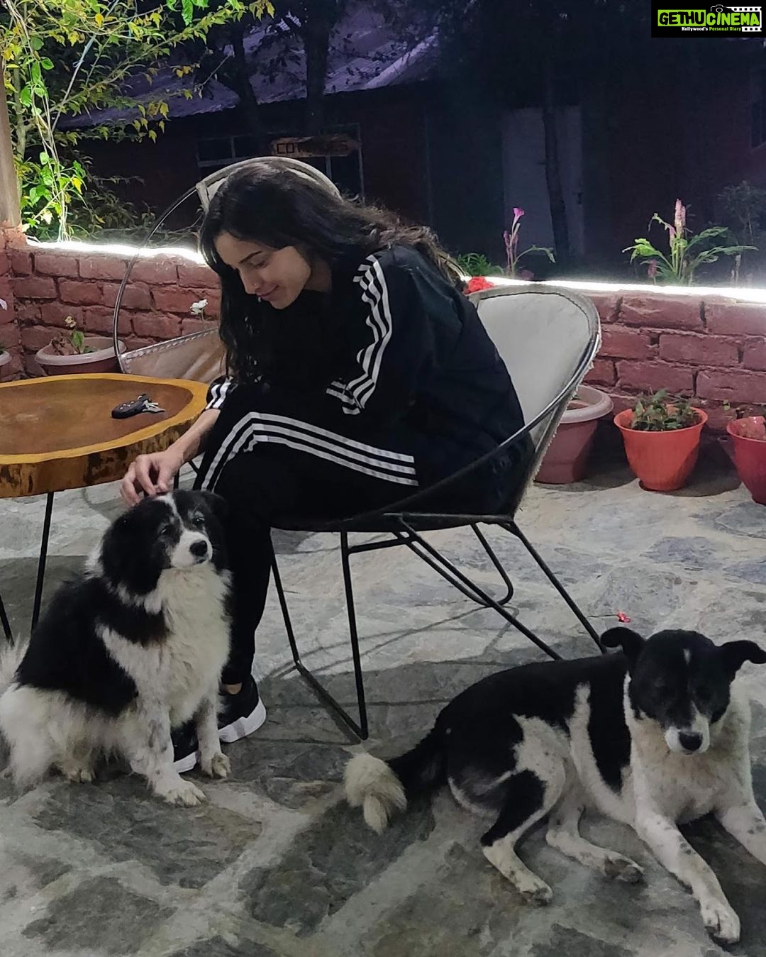 Tripti Dimri Instagram - This little one quietly came and sat next to me.... And I didn't get scared at all.. You might think what's the big deal in that.. But trust me..people who know me from long know that I was cynophobic for a really long time.. can't even tell you what all I have done to avoid any kind of encounter with dogs...I would stay away from those 'dog areas...would simply avoid visiting friends or family who had a pet dog....if I was going somewhere and a dog came in my way.. I would change the route.... Then two years back my flatmate got a dog home.. We call her ziggy….the first dog I ever touched..and played with and she changed the game for me..I used to be shitt scared of her too even though she was hardly a month old when I first met her.. I would just keep avoiding her…. She would come to play with me and I would just run away ….it was damn funny for my flatmates….then one fine day I shut my eyes and put my hand in her mouth..and to my surprise she didn’t bite me.. She just licked my hand.. and looked super cute doing that.. I guess thats how I got over my fear of dogs I won't say that the fear has vanished but today I can understand their body language....touch them…play with them....and be comfortable when dogs are around.. Its taken me too long to realise that dogs are lovely creatures..they love human beings and love to be loved just as much.. So ..if you have cynophobia….. just try and pat a dog today…you’ll only get love in return.... After all there’s only love and happiness on the other side of fear❤️🐶