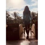 Tripti Dimri Instagram - 💙✨