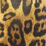 Vanitha Vijayakumar Instagram - Fashionable leopard print long coat 🐆 Dm us to shop now! 💌 Free shipping within India 🇮🇳 ~ ~ ~ ~ ~ ~ ~ ~ ~ ~ ~ ~ ~ Tags ❤️‍🔥 #vanithavijaykumarstyling #vanithavijaykumarstudios #women #entrepreneur #boutique #style #stylish #chennai #girl #ootd #outfit #clothing #brand #picoftheday #photooftheday #instafashion #instagood #instadaily #shopping #makeup #accessories #styleblogger #fashion #fashionblogger Khader Nawaz Khan Road