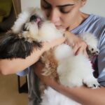 Varalaxmi Sarathkumar Instagram - #Obsessed #dogmom Only a pet mommy can understand...heheh... Love my baby soooo muchhhhh @guccivaralaxmi #Thursday #thursdayvibes #trending #funny #shitzu #dogs #dogsofinstagram #dogslover #dogsofinsta #puppy #puppylove Jestttttt beingggggg jollyyyy Hyderabad