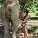 Varalaxmi Sarathkumar Instagram - Had the most beautiful heartwarming day at the @elephantjunglesanctuary #phase1 #chiangmai Feeding these beautiful animals..bathing them..and just being with them fills your heart with so much love... A beautiful day..with beautiful souls.. @pickyourtrail #verandahighresortchiangmai #animals #elephant #wildlife #sanctuary #animallover #savetheelephants #trending #chiangmai คลินิกช้างแม่วาง Elephant Jungle Sanctuary