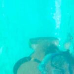 Vimala Raman Instagram - Sea La Vie 🌊🧜🏼‍♀️ . . . #sea #swimming #beach #reels #reelitfeelit #aqua #aquarius #bikini #underthesea #tb #bluewaters #deep #swimmer #water #waterbaby #ily #surfmesa #surf #marine #réel #actor #actress #vimalaraman #beachlife