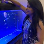 Aadhirai Soundarajan Instagram - Happiness🐠 #aadhiraisoundararajan #fish #fishtank #feedfeed #feeding #fun #love #yellow #yellowfish #reels #reel #reelitfeelit #reelsindia #reelsinstagram #video #beautiful #blue #enjoy #feel #smile #nature #happiness