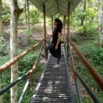 Aadhirai Soundarajan Instagram - 👀Always take the scenic route👣🔝 #wayanad #kerala #the #place #of #natural #beauty വയനാട്