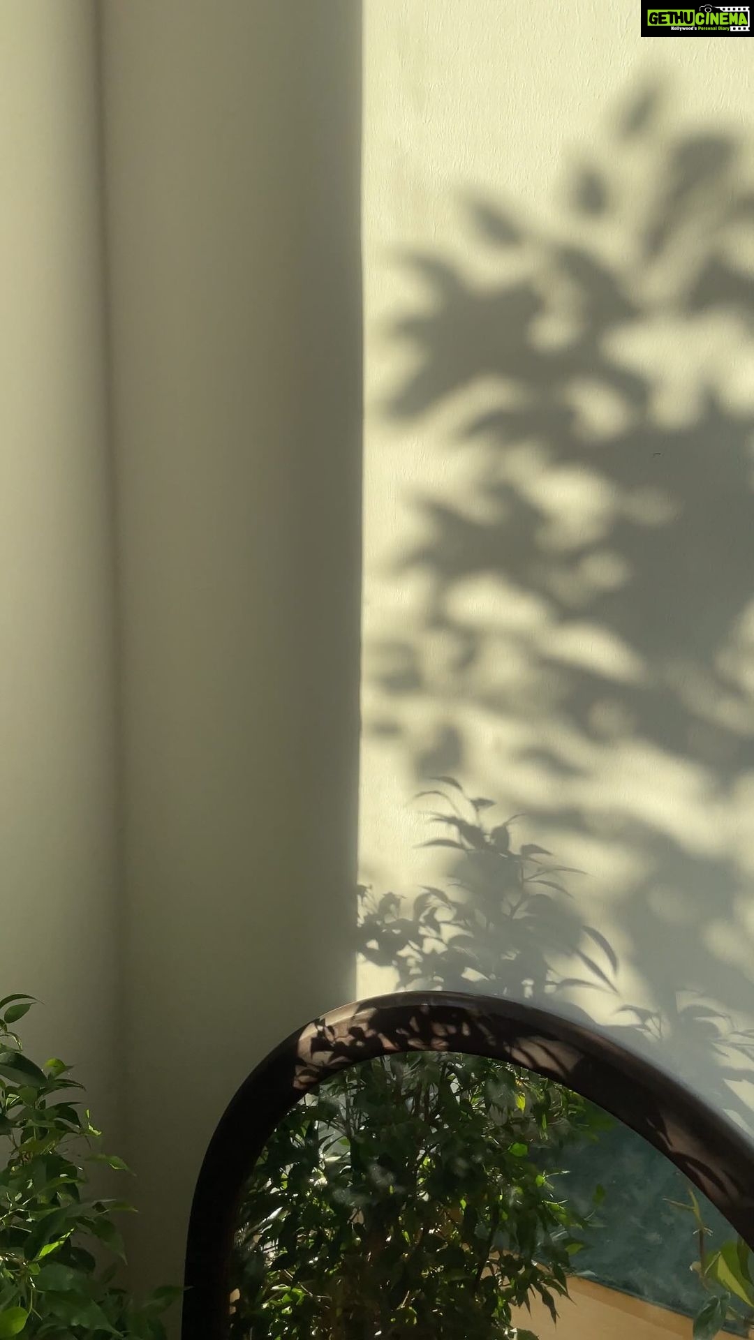 Aditi Chengappa Instagram - Take a deep breath 🍃 . . . #meditate #relax #letgo #breathout #soothing #relaxing #relaxingvideos #peaceful #sunday Berlin, Germany