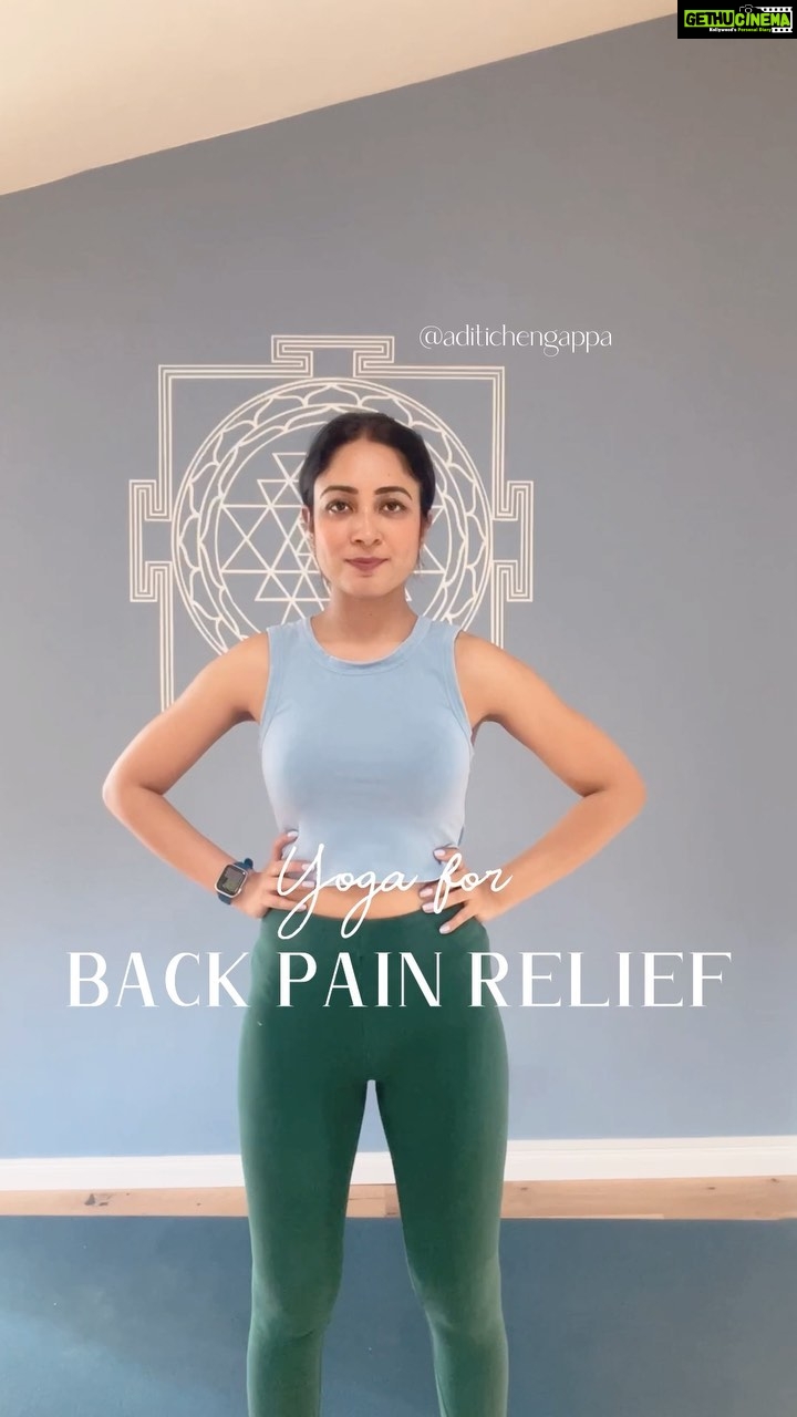 Aditi Chengappa - 329 Likes - SAVE THIS! 10 mins to less back pain 😇 remember that this video has been sped up, take your time and do 5-6 reps of each movement ✅
.
.
.
.
#back #backpain #backpainrelief #fitness #yoga #trainieren #rückenschmerzen #rücken #rückentraining #yogainspiration #yogapractice