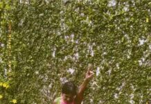 Aditi Shankar Instagram - Yen step eh naaney podamaya? Been watching all the reels for #maduraveeran Thankyou so much for all the love my babies♥️ Video credits: @aishushankar8