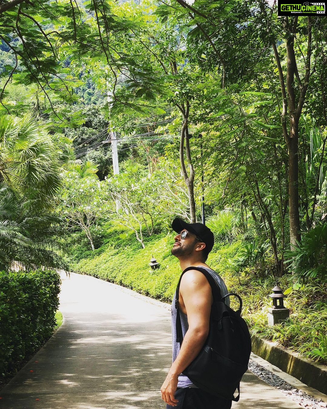 Aftab Shivdasani Instagram - ‘Trees are poems that Earth writes upon the sky.’ - Kahlil Gibran. Thailand