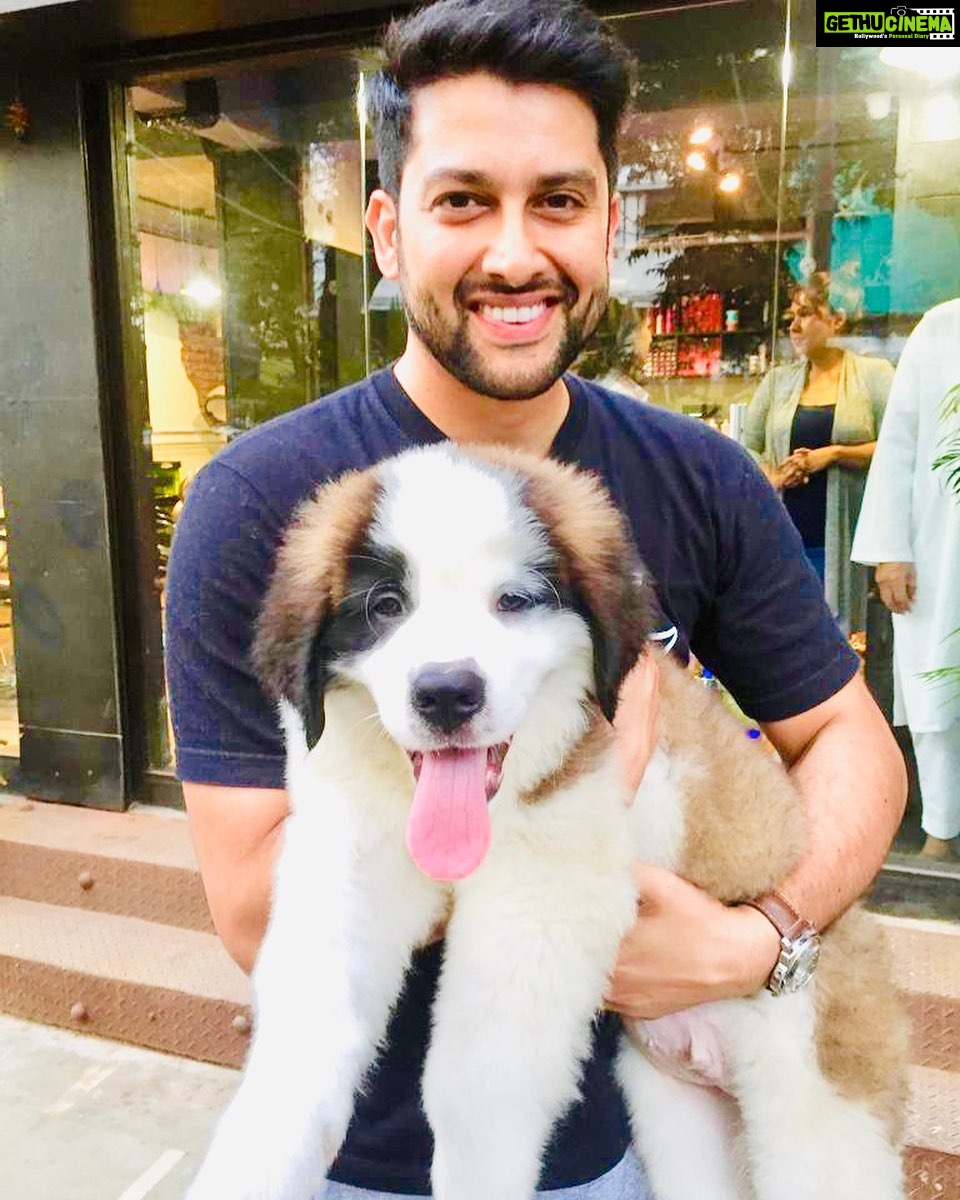 Aftab Shivdasani Instagram - Can’t figure out who’s happier...? 🤔😍 #notmydog #stbernard #joy