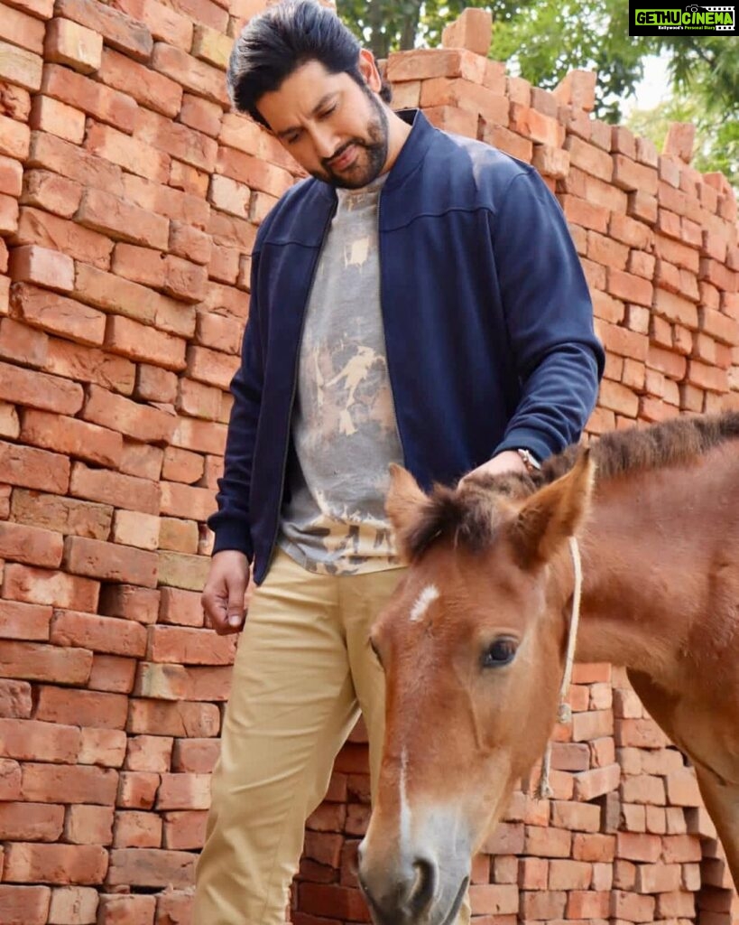 Aftab Shivdasani Instagram - ‘Until one has loved an animal, a part of one’s soul remains unawakened.’ 🤎 - Anatole France.