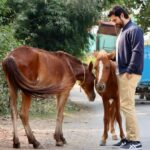 Aftab Shivdasani Instagram – ‘Until one has loved an animal, a part of one’s soul remains unawakened.’ 🤎
– Anatole France.