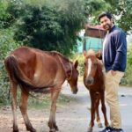 Aftab Shivdasani Instagram – ‘Until one has loved an animal, a part of one’s soul remains unawakened.’ 🤎
– Anatole France.