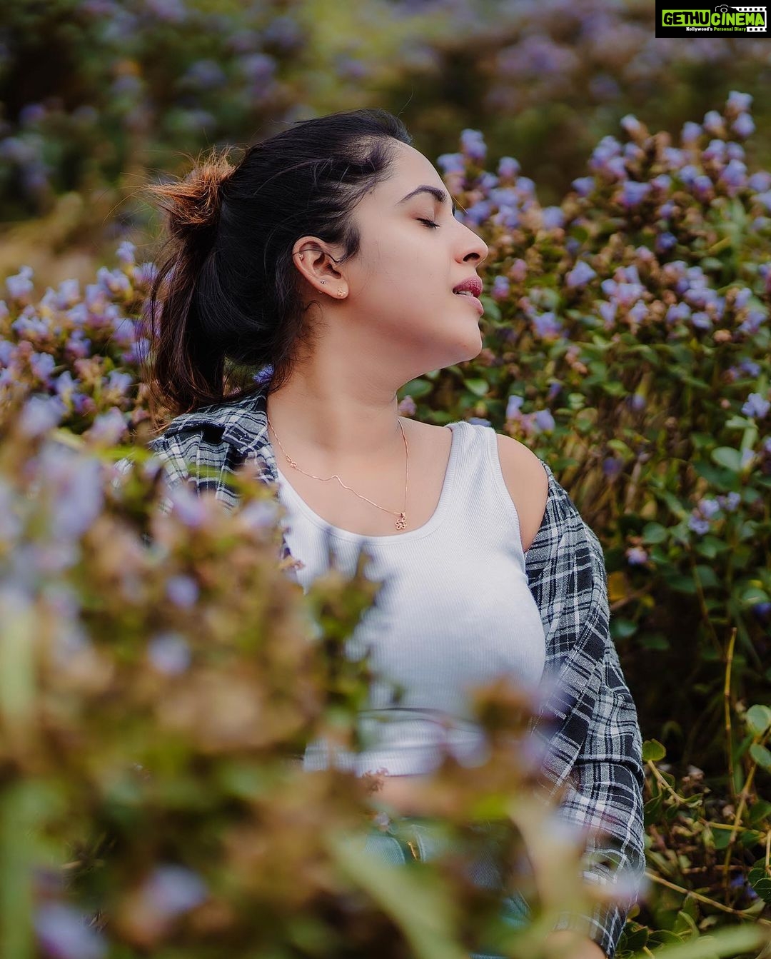 Amrutha Nair - 33.7K Likes - പന്ത്രണ്ടു ആണ്ടു കഴിഞ്ഞിട്ടായാലും വെയിൽ വീണ കുന്നിൽ ചെരുവിൽ വർഷങ്ങൾ മഴപെയ്ത ചാലുകളിൽ പാതിരാ നിലാവിനെ വെല്ലുന്ന നിറത്തിൽ നീലക്കുറിഞ്ഞി പൂത്തുനിൽക്കാറുണ്ട്♥️
#munnar #post #instagram #viral #neelakurinji