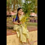 Amrutha Nair Instagram - മനസ്സിൽ നിറയെ കണിക്കൊന്നകൾ വിരിയിച്ച് കൊണ്ട് വീണ്ടും ഒരു വിഷു വരവായി....😍😍 Saree @kerala_bygone_fashion MUA @thiruvathira_makeover_studio_ PIC @dulkifil_photography Sarkara Devi Temple