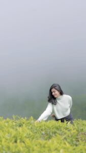 Anju Kurian Instagram - Wishing you all a beautiful day ahead filled with positivi-Tea 🍃! . . . 🎥- @abi_fine_shooters #teaplantation #positivity #naturelover #foggymorning #traveller #mothernature #greenery #teagarden #tealove #ınstagood #morningrun #mondaymood #vibeoftheday #happymonday