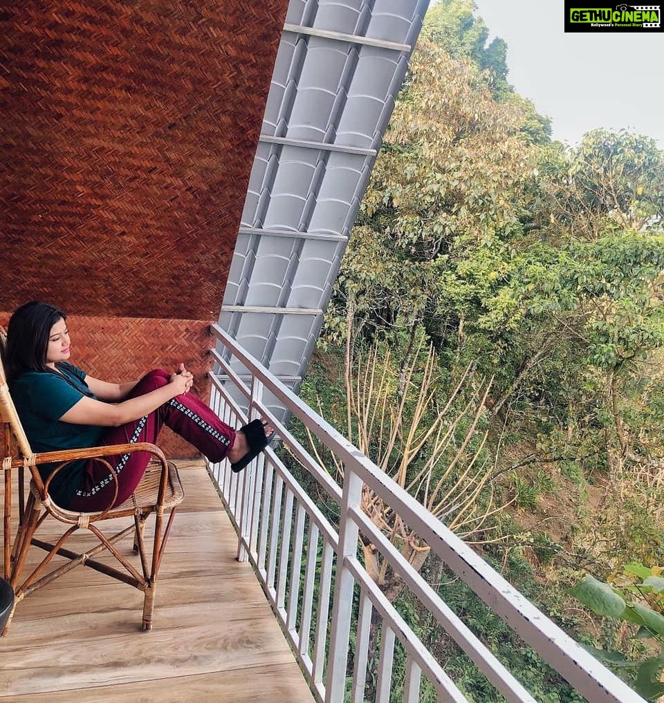 Ansiba Hassan Instagram - My wish always like this, living quietly in a corner of Nature 💚 @willmount_ #nature #naturelover #willmountresort #natureresort #ansibahassan #natureday Willmount