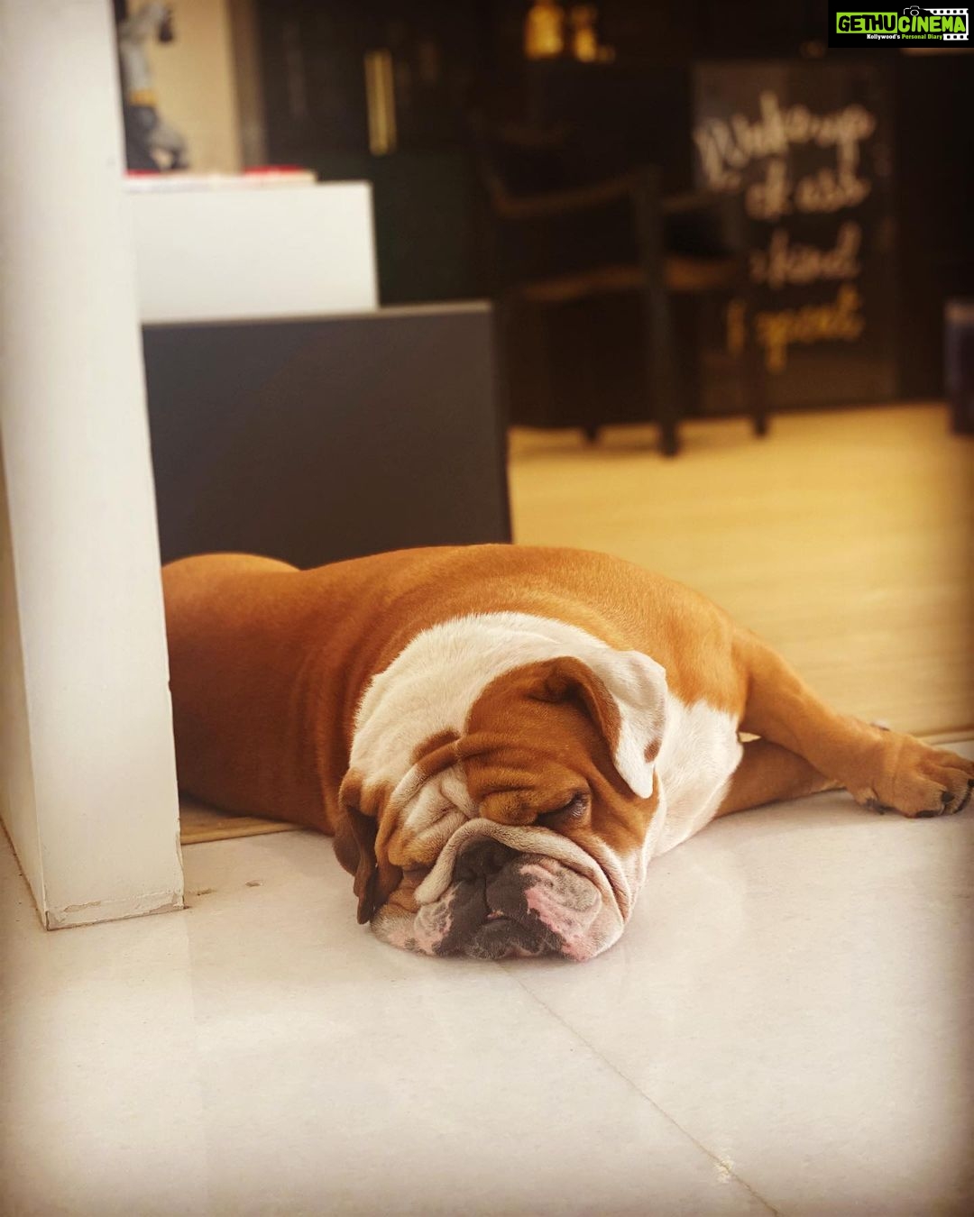 Arjun Kapoor Instagram - His life is a Long weekend... #Maximus