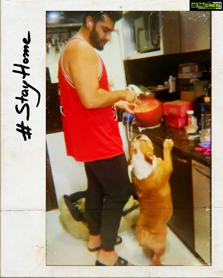 Arjun Kapoor Instagram - I’m sure Maximus the real Gunda sang this song in his head cause it’s the first time he’s seen me the Fake Baker attempt anything in the kitchen !!! PS - (his hips really don’t lie) @aliabbaszafar @ranveersingh @priyankachopra #maximusthegunda Ghar Pe........