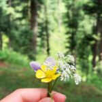 Arushi Sharma Instagram - Gather courage like wildflowers - @jakmajor #sundayfunday
