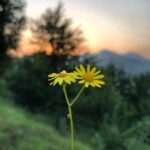 Arushi Sharma Instagram - To begin, begin. - William Wordsworth