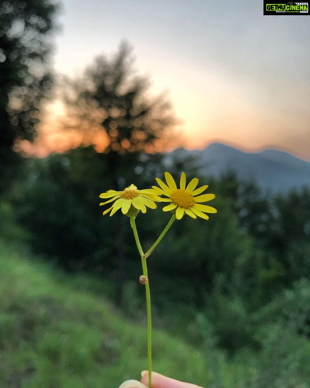 Arushi Sharma Instagram - To begin, begin. - William Wordsworth