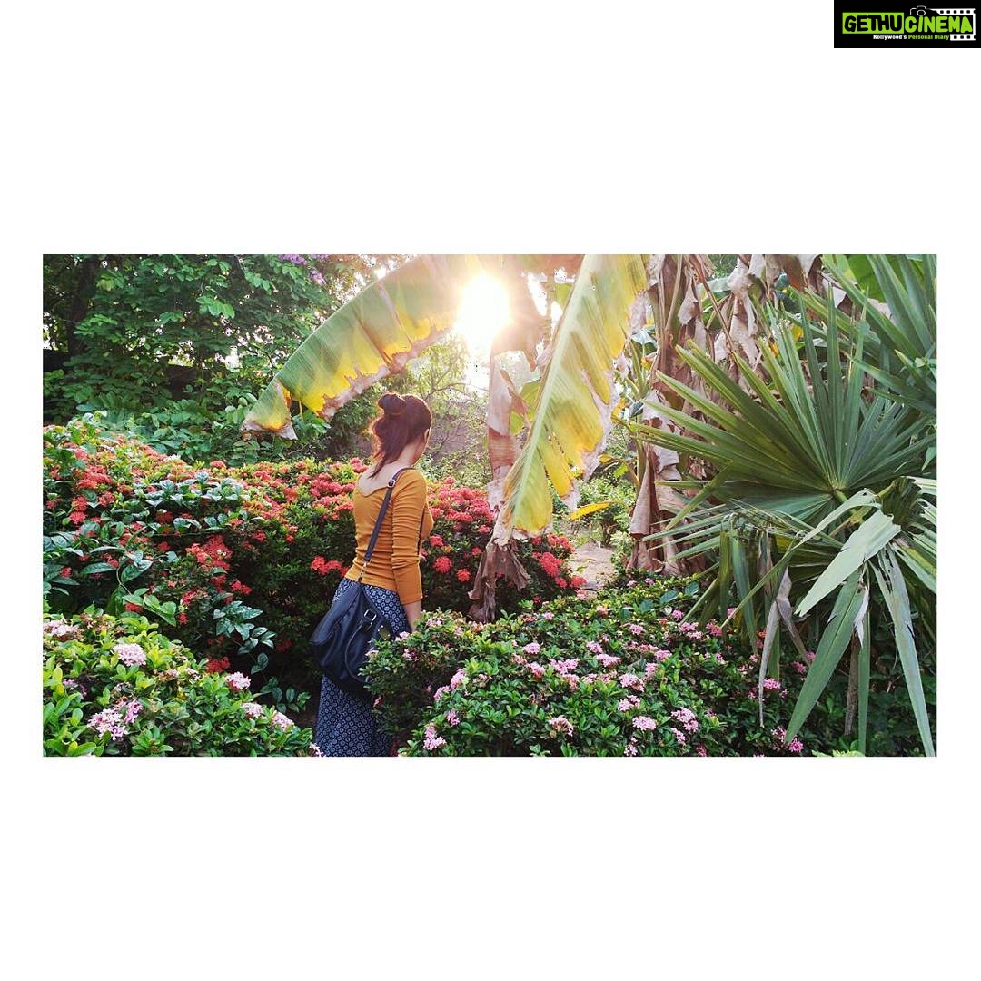 Arushi Sharma Instagram - Raise the sun inside me 🌞