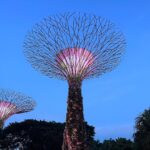Ashika Ranganath Instagram - A day in Singapore 🤍🌌 #Singaporediaries