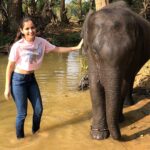 Ashika Ranganath Instagram - Baby ele🐘twinning with my t-shirt! 😉 glad I got meet this cutie and spend some good time giving bath to her.. Meet “kamli” who’s 4 years old n must say she’s a sweetheart💕 Thank you @thejaswini_sharma (especially uncle) for fulfilling my dream😘 Pc: @janhvi_gowda Dubare Elephant Camp - Coorg