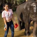 Ashika Ranganath Instagram - Baby ele🐘twinning with my t-shirt! 😉 glad I got meet this cutie and spend some good time giving bath to her.. Meet “kamli” who’s 4 years old n must say she’s a sweetheart💕 Thank you @thejaswini_sharma (especially uncle) for fulfilling my dream😘 Pc: @janhvi_gowda Dubare Elephant Camp - Coorg