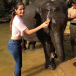 Ashika Ranganath Instagram – Baby ele🐘twinning with my t-shirt! 😉
glad I got meet this cutie and spend some good time giving bath to her.. Meet “kamli” who’s 4 years old n must say she’s a sweetheart💕
Thank you @thejaswini_sharma (especially uncle) for fulfilling my dream😘 
Pc: @janhvi_gowda Dubare Elephant Camp – Coorg