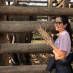 Ashika Ranganath Instagram - Baby ele🐘twinning with my t-shirt! 😉 glad I got meet this cutie and spend some good time giving bath to her.. Meet “kamli” who’s 4 years old n must say she’s a sweetheart💕 Thank you @thejaswini_sharma (especially uncle) for fulfilling my dream😘 Pc: @janhvi_gowda Dubare Elephant Camp - Coorg