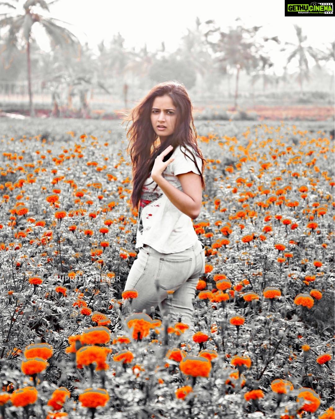 Ashika Ranganath Instagram - Candid πππ #nomakeup #naturalhair #naturelover @suprithshekar you make wonders n I loved your click (the edit especially) β€οΈ tysm βΊοΈ