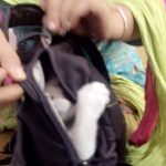 Ashika Ranganath Instagram - And she went inside my bag n when I zipped it .. this was her reaction 😍😘🎈