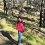 Ashrita Shetty Instagram - Into the woods i go, to loose my mind & find my soul 🌴🍂