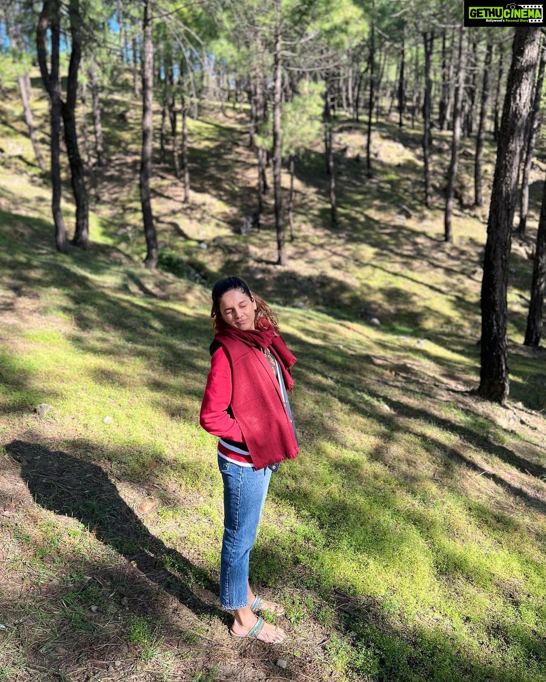 Ashrita Shetty Instagram - Into the woods i go, to loose my mind & find my soul 🌴🍂