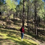Ashrita Shetty Instagram - Into the woods i go, to loose my mind & find my soul 🌴🍂