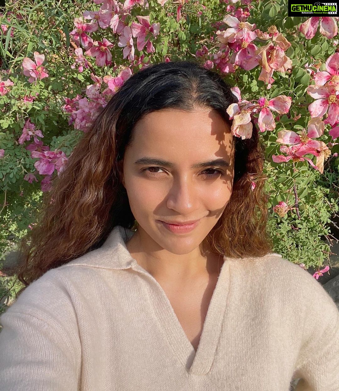 Athulya Chandra Instagram - Bloom Baby 🌸
